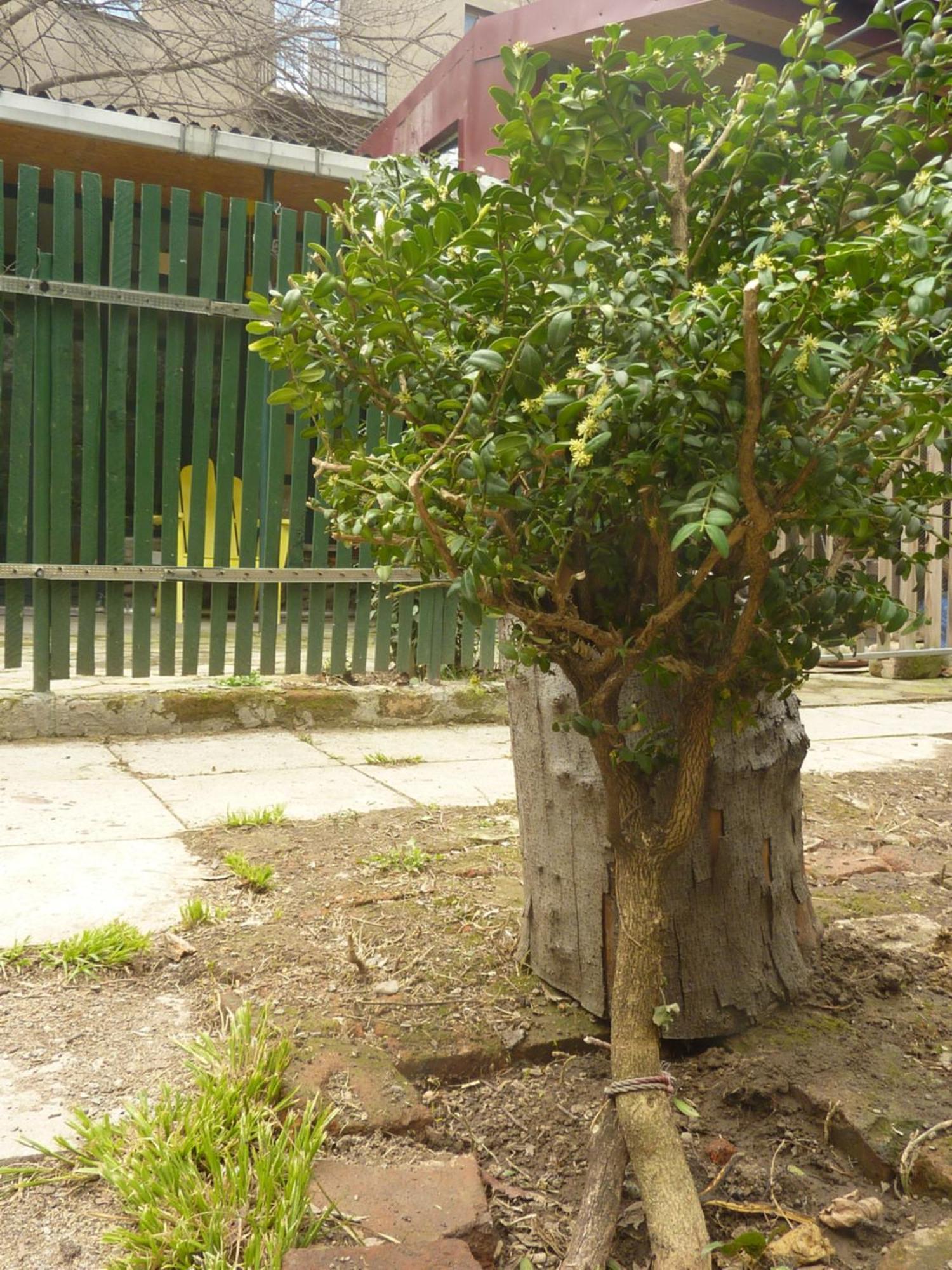 فندق Gardens In Vake, تبليسي المظهر الخارجي الصورة